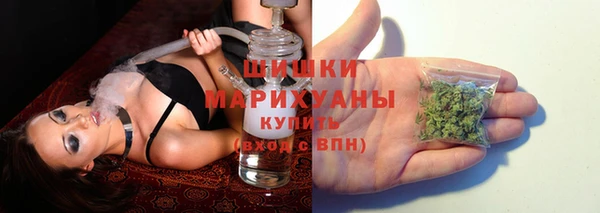 крисы Верея