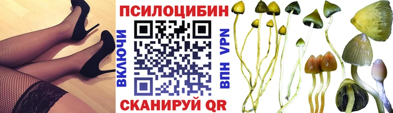 Галлюциногенные грибы мицелий  наркотики  Курск 